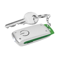 Radius Keyring In Green