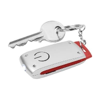 Radius Keyring In Red