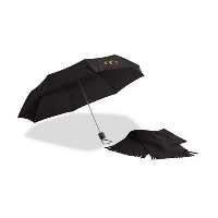 Reykjavik Umbrella & Scarf Gift Set In Black
