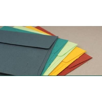 Seeded Paper Envelope
