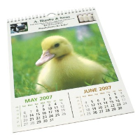 Smart-Calendar Economy Wall
