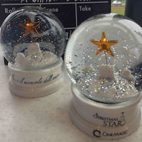 Snow Globe Shaker Shaker