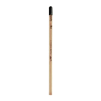 Sprout Pencil