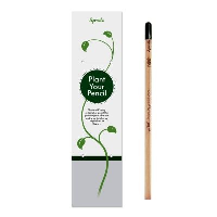 Sprout Pencil In Single Packaging