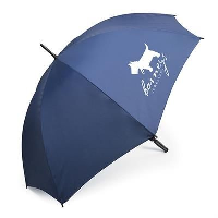 Swift Umbrella In All Navy