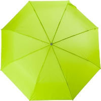 Telescopic Ladies Umbrella In Light Green