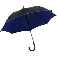 Umbrella In Black & Blue