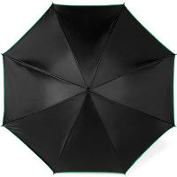 Umbrella In Black & Green