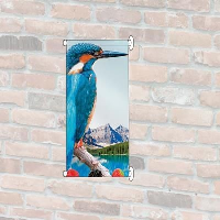 Wall Mounted Banner
