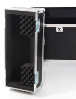 Single 19 inch Custom Screen Flight Case
