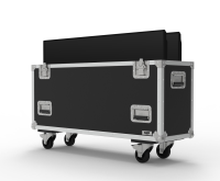 Double 37 inch Custom Screen Flight Case