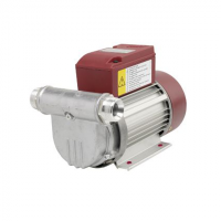 FMT Diesel Transfer Vane Pump 110V, 60lpm