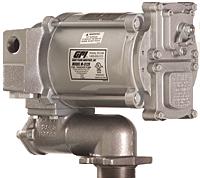 GPI M-3260 Heavy Duty Vane Pump 230V