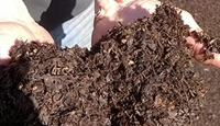 Organically Sourced Horse Manure For Individual Gardens