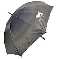 Promotional Umbrellas For Events