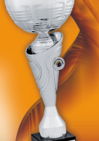 Promotional Trophy And Medals For Businesses