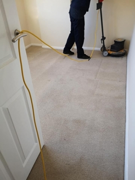 Carpet Cleaning Services with Less moisture