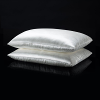Natural Luxury Pure Mulberry Silk Pillow