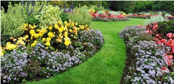 Landscaping Services For Pathways