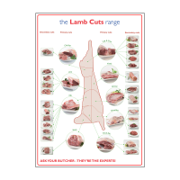 Butchers Lamb Cuts of Meat Laminated Poster