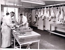 Supplier Of Meat Equipment