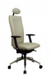 Ergonomic Chairs