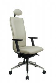 Posture Chairs