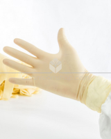 Disposable Latex Gloves 12" Non Sterile - Legacy