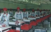 Complete Meat Processing Lines