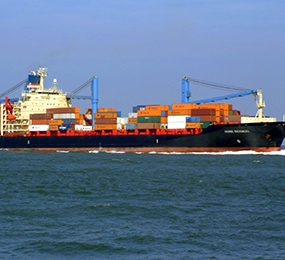 Steelgard Export In Dortmund