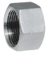 1/4" BSP HEX END CAP 316