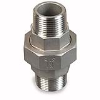 1/4" BSP MALE/MALE UNION 316