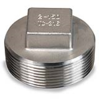 3/4" BSP SQUARE PLUG 316(CAST)