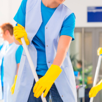 Regular Domestic Cleaners  In Tilehurst