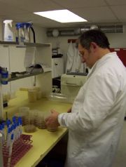 Consulting &#45; Microbiology Laboratory
