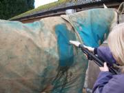 Equestrian Care