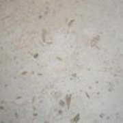 Limra honed and polished limestone