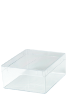 Rigid high quality Clear Polystyrene boxes