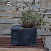 Green&Blue Beepot Concrete Planter & Bee House - Charcoal Grey