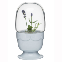 Sagaform Greenhouse-On-A-Stand With Glass Dome - Lavender Blue