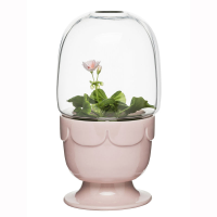 Sagaform Greenhouse-On-A-Stand With Glass Dome - Pelargonium Pink