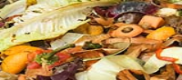 Mixed Food Waste AD Solutions