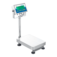 Adam AGB/AGF Bench & Floor Scales