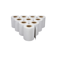 Adam ATP Thermal Paper Rolls (10) 3123011281