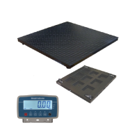 FW Mild Steel Floor Platform Scale with Indicator