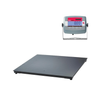 Hire Floor Scales