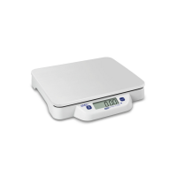 Kern ECE-N / ECB-N Bench Scales