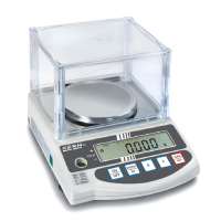 Kern EW-N & EG-N Precision Balances