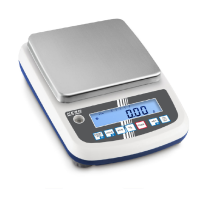 Kern PFB Precision Balances