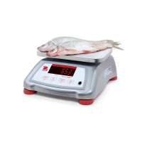 Ohaus Valor 4000 Stainless Food Scales
